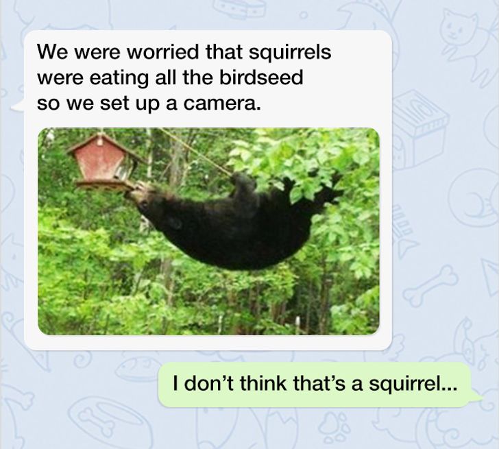 Wednesday Wonderment – That Ain’t No Squirrel! – Vol 14